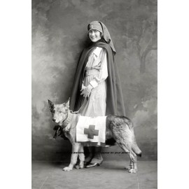 World War I Nurse Rescue Dog PHOTO Red Cross Mercy Dog, Comfort to Soldiers