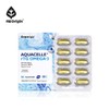Enget Origin Aquacell rTG Omega-3 (30 capsules) / 엔젯오리진  아쿠아셀 rTG 오메가-3 (30캡슐) X 1통 / 아쿠아셀공법 / 비타민D