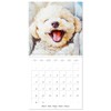 Funny dogs deluxe. Because happy faces make happy days (Wall
