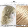 Easihair Provocative Ponytail Color 16/22 Banana Crème - 14" -
