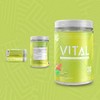 VNDL Project Vital | BCAA, EAA and Electrolyte Powder Supplement