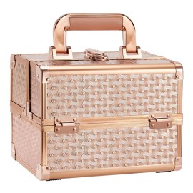 Joligrace Beauty Makeup Train Case for Lady Portable Cosmetic Box Jewelry Org...