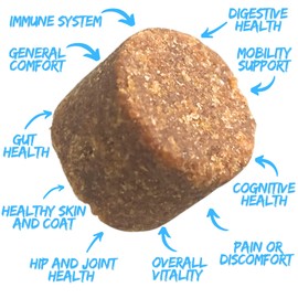 Petrition Seniors Vitality Support Chews for Dogs - 120 Chews Chicken Flavour, Immune Support.