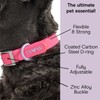 Wild One, Limited Edition, Designer Collection, Pink Dog Collar, Easy-Clean,