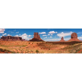 Carolina Custom Cages Reptile Habitat Background; Monument Valley Panorama, for 36Lx18Wx24H Terrarium, 3-Sided Wraparound