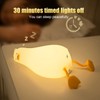 Duck Night Light for Kids 5V USB Charging 3 Levels