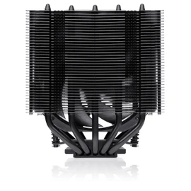 Noctua NH-D12L chromax.Black, Low-Height Dual-Tower CPU Cooler (120mm, Black)
