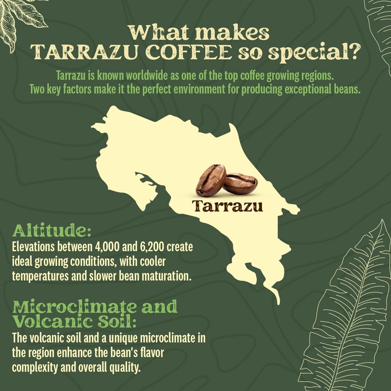 Kwiso Coffee Classic Tarrazu Costa Rica Single Origin 100% Arabica