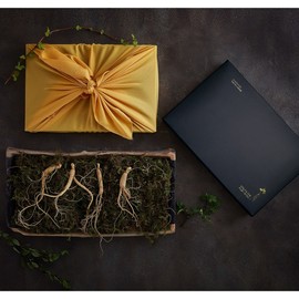 Baekho Wild Ginseng Herb Gift Set of 4 Roots of Gangwon-do Native Wild Ginseng, 5-6 Year Old Roots / 백호산양삼 약초 강원도 토종 산양산삼 4뿌리 5년-6년근 선물세트