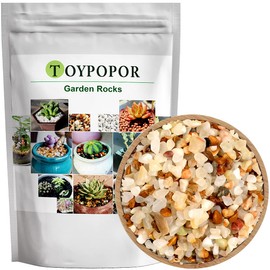 Washed Pea Gravel, 2lb Succulent and Cactus Plants Potting Pebbles, Smooth River Rocks, Bonsai Decorative Planter Stone, Crushed Grit for Gardening, Aquariums, Landscaping, Vase Fillers and Terrarium