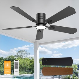 DAMINY 52 inch 5 Blades Black Ceiling Fans with Lights,Flush Mount,6CCT, Low Profile Ceiling Fan with Light and Remote Control,DC Motor,Ceiling Fan for Bedroom, Kitchen,Living Room,Indoor/Outdoor Use