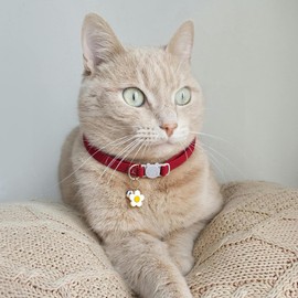 TENICER 2 Pack Cat Collar with Bells, Corduroy Adjustable Kitten Collars with Breakaway Safety Buckle for Boy Girl Cats-Green Red