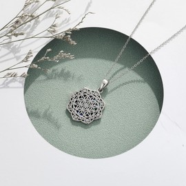 DAYLINLOVE Flower of Life Necklace S925 Sterling Silver Abalone Shell Flower of Life Necklaces Sri Yantra Pendant Jewellery Gifts for Women Men Women, Sterling Silver, No Gemstone