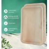 Puryfi Palm Leaf Eco-Friendly Rectangle Plates 6 x 9 inches