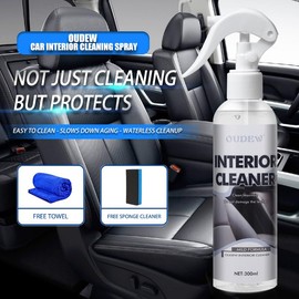 OUDEW car interior cleaner and protector,