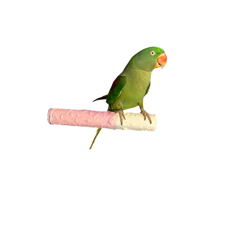 Cuttlebone & Calcium Perch Large Strawberry