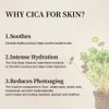mixsoon Soondy Centella Asiatica Essence, Hydrating, Soothing CICA Essence for