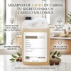Shampoo a Granel para Hoteles con Aroma de Jojoba 1
