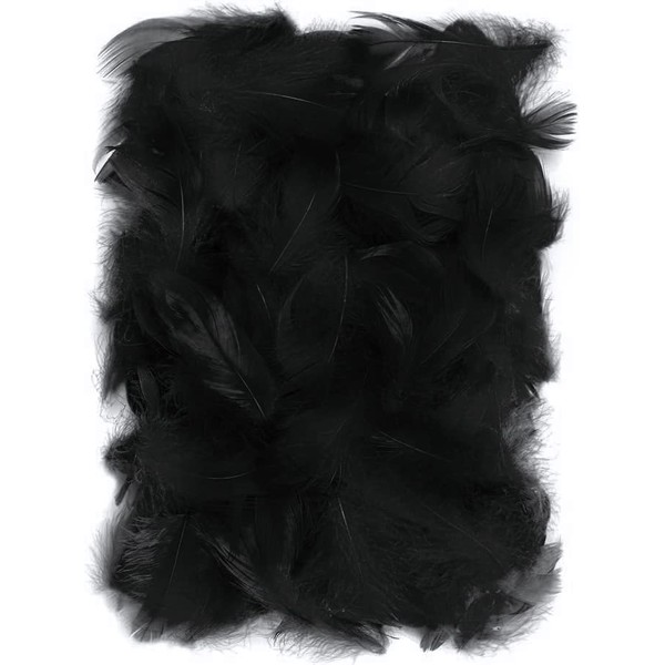Netuno Pack of 150 Black Decorative Feathers, 10 g, Down Feathers, Jewellery Feathers, Bird Feathers, Crafting Feathers, Natural, for DIY Craft Decorations, Easter, Christmas Decorative Figures