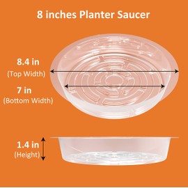 Gardzen Heavy Duty Clear Plastic Plant Saucers, Flower Pot Tray - Excellent for Indoor & Outdoor Plants (8-Inch, 10-Pack)