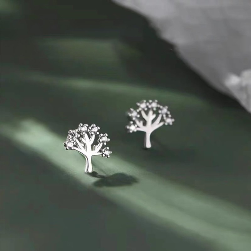 Women's Silver Cubic Zirconia Stud Earrings, Hypoallergenic, Simple Earrings, For
