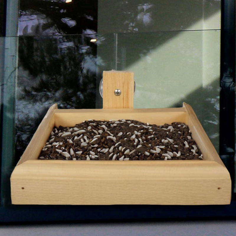 Wooden Mini Window Screen Bird Feeder – Handcrafted Eastern White
