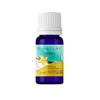 Aceite esencial de Vainilla Bnature 10 ml aromaterapia