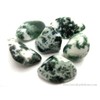 Pachamama Essentials Tree Agate Tumbled - Healing Stone - Crystal