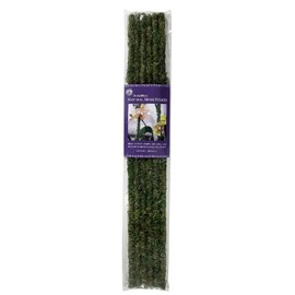 SuperMoss (22051) Moss Stakes Preserved, Fresh Green, 24" (6 pack)