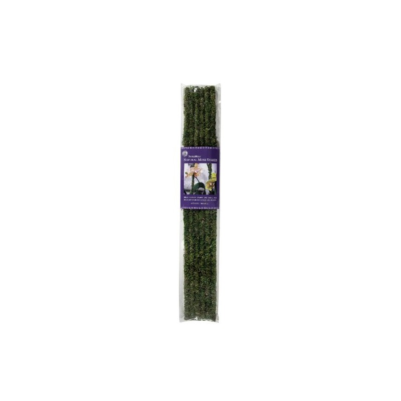 SuperMoss (22051) Moss Stakes Preserved, Fresh Green, 24" (6 pack)