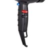Timco STS-1900N Secadora Profesional con Cermica, 2 Boquillas