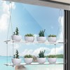 ZerzSemp 2-Tier Acrylic Window Display Shelves – 16" Adjustable Clear