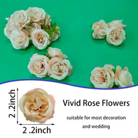 2.2''Artificial Satin Rose Flower Heads,80Pcs Silk Rose Heads Bulk,Champagne Rose Artificial Flowers Bulk,Artificial Stemless Rose Flower Heads for DIY Crafts Bouquet (80, Champagne)