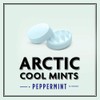 ALTOIDS Arctic Peppermint Breath Mints - Altoids Hard Candy Bulk,