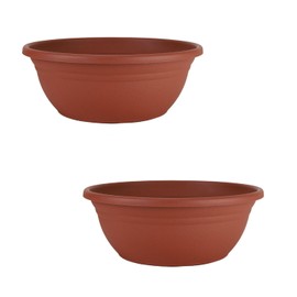 The HC Companies Mojave Garden Bowl Planter for Flowers - Shallow Planter with Drainage - Round Succulent Planter Pot for Indoors and Outdoors (12" Brick Red, Pack of 2)