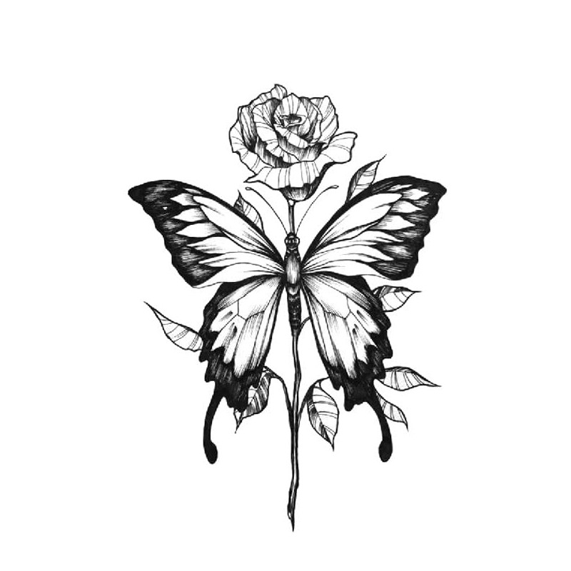 Butterfly Tattoo Moon Tattoo Roses Tattoo Fake Tattoos TBS 3