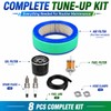 392642 Tune Up Kit for V-Twin 16HP 18HP 421400 402400