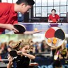 Mritrit Portable Table Tennis Bat Ball Set with 2 Ping