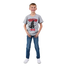 Godzilla 3-Pack of Youth Boy's Short Sleeve Tees 8 (M)