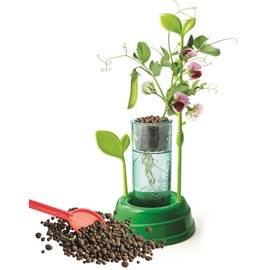 Clementoni Science&Play Discover Hydroponics, Early Science Kit Discovery, For Kids 8+ Years, Made in Italy, 75124