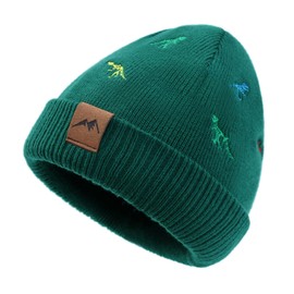 XIAOHAWANG Knit Toddler Beanies Girls Boys Cute Kids Winter Hat Infant Dinosaur Baby Beanie Hats (US, Age, 3 Years, 8 Years, A-Green)