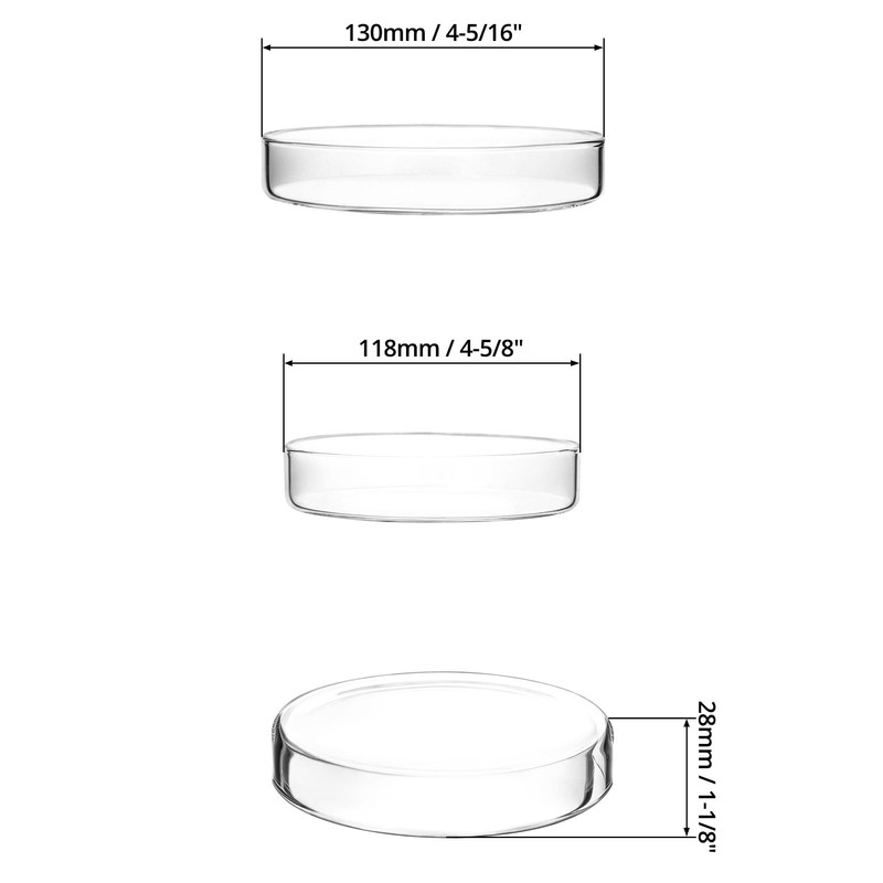 QWORK Glass Petri Dishes with Lid, Thicken, 120mm x 26mm,