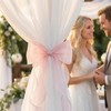 PASDUCHAS 4 Pack French Silky Bow Curtain Tiebacks, Pink Ribbon