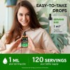 Nutra Harmony Mullein Apoyo Respiratorio Y Pulmones 120ml Sin Sabor