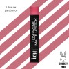 Kit Lip Oil Bissu Labial Delineador Ivy Mate