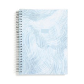 Blue Sky 2025 Tides Weekly and Monthly Planner, 5.875” x 8.625”, Wirebound, Frosted Flexible Cover (Tides- 2025, 5.875" x 8.625")