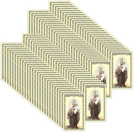 Our Lady of Mt. Carmel Holy Cards, Catholic Church Handouts, Cardstock Material, 2 ⅜ x 4 ⅛ Inches (Pack of 100)
