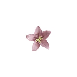 AMERRY Lily, 3.58" Handmade Ceramic Wall Flowers, Decorative Floral Wall Art, Lifelike Artificial Wall Decor for Home (Classic, Pink)