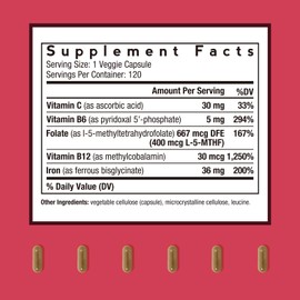 Doctor's Recipes Iron Supplement for Women Men - Gentle Iron Bisglycinate with Vitamin C, B6, Folate & B12 - Non-Constipating & Stomach Friendly Iron Pills, 120 Vegan Caps