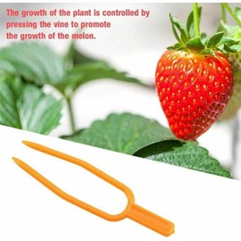 Juroicessry 50Pcs Gardening Plant Fixing Clips,Plastic Plant Climbing Support Clips Vine Fixed Fastening Clips,Planting Fork Fixer Tool for Flower Strawberry Seedling Tomato Garden Supplies